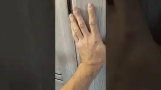 @Bearded_Door