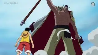 Luffy Challenge Whitebeard & Everyone Shocked [English Sub]