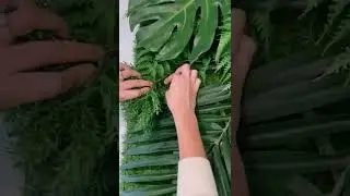 DIY plant wall 