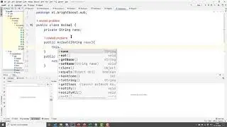 Java Constructors