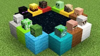 end portal or minecraft mobs portal ?