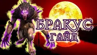 БРАКУС ПОДРОБНЫЙ ОБЗОР / ГАЙД RAID SHADOW LEGENDS | RAID | RAIDSL | raid