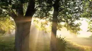 Bapa Pulihkan.FLV