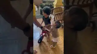 Boci - BociL Rebutan Sepeda 
