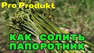 Как солить папоротник