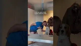 А вы боитесь/боялись собак?