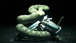 Скоро на обзоре