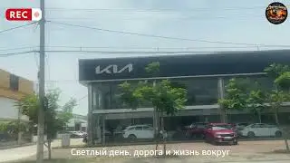 Светлый день, дорога и жизнь вокруг