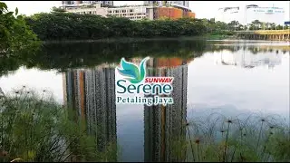 Experience Tranquility Living at Sunway Serene