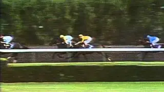 1989 Breeders' Cup Classic