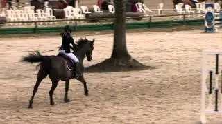 alexia GP 120 BARBIZON