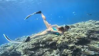 Beautiful underwater video/Freediving in Okinawa/#freediving#diving#underwater#gopro #gopro11