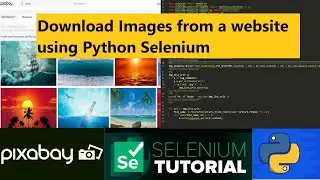Download Images from a Website using Python Selenium and Requests Library