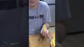 #Shorts Як начиняти каннеллоні
