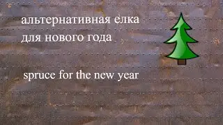 alternative spruce for the new year