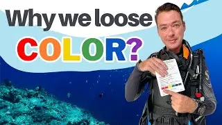 What Happens to Color Underwater and Why do Objects Look Bigger in Water -Beginner Scuba Diving Tips
