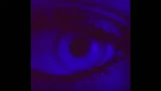 Darci - Won't (Official Audio)