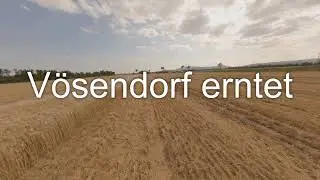 Vösendorf erntet - Vösendorf Hartweizen Ernte