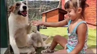 Alex Video2 #rescuedog #tierschutz #hund
