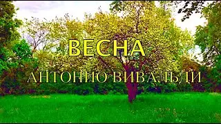 Весна времена года Антонио Вивальди. Antonio Vivaldi Seasons spring