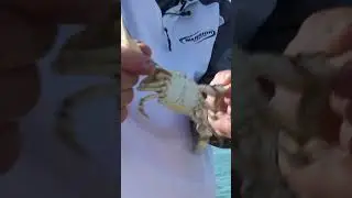 Who's the boss NOW! 