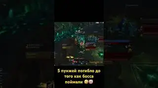 Вакханалия с пунжами Wow Shadowlands