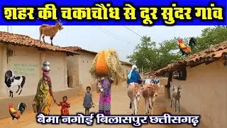 बैमा नगोई बहुत सुंदर गाँव बिलासपुर छत्तीसगढ़ village life Chhattisgarh 2024