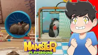 MAY ALAGA AKONG HAMSTER NA MATABA | Hamster Playground