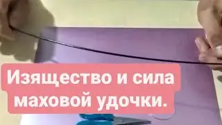 #40 A Reliable Pole Rod. How to Strengthen a Rod Without Guides (12+).