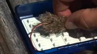 Rose Creek Fly Boxes