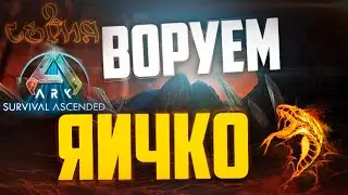 Жизнь только начинается. Воруем первое яичко Виверны. Стрим №2! На сервере ZmeYEditioN