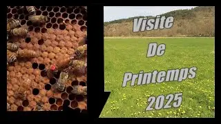 Spring Visit 2025
