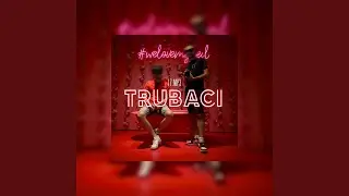 Trubaci