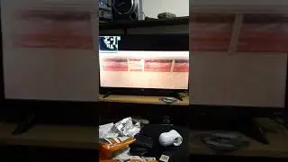 another bug from brilliant diamond