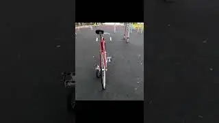 Легенды Своего Времени Цунами 100 и ХВЗ Спорт