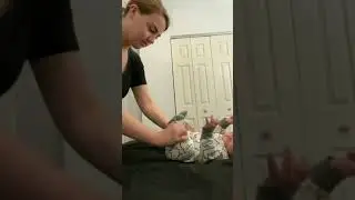 Tutorial bikin bayi kentut . 
