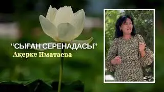 17 июля 2024 г.