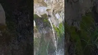 Родник течёт