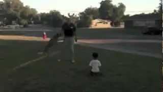 Dog training in Madison around kids