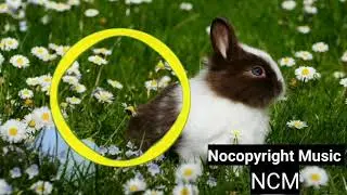 DigitalTek & Resurgenze - Like A King (feat. Voicians) (NoCopyright Music NCM) Best 10
