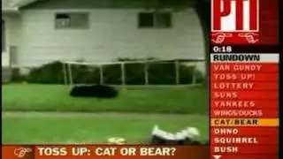 Toss Up: Cat on a tarp?  or Bear on a tramp?