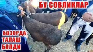 КАШКАДАРЁДА КАРШИ МОЛ БОЗОРИ НАРХЛАРИ | QARSHI MOL BOZORI NARXLARI 2021
