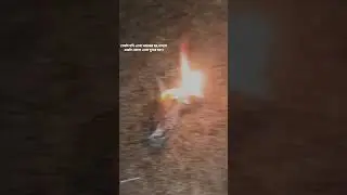 #sadstatus