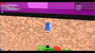 sonicgabrial in roblox