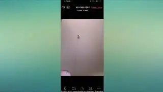 How to Share Screen in Zoom Meetings on Android