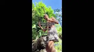 ¿Quieres desbloquear tu chakra raíz?