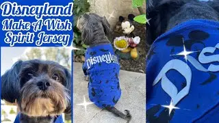 Disneyland Make A Wish Spirit Jersey for Zoey!
