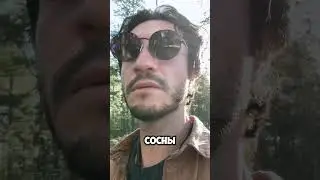 #мусор