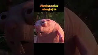 விளங்குகளின் அவேஞ்சர்ஸ் @filmfeathers #animation #jungle #avengers