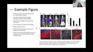 Taxol Presentation